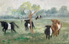 ISLAND BELTED GALLOWAY COWS - 12 X 7 3/4”